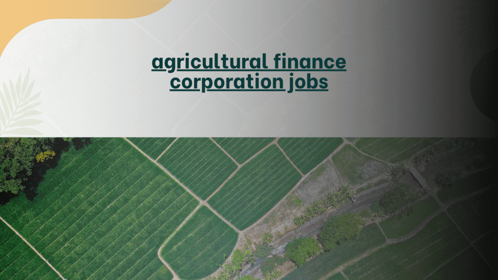 Agricultural Finance Corporation Jobs 2025: Recruitment, Vacancies, & Career Growth 1 agricultural finance corporation jobs